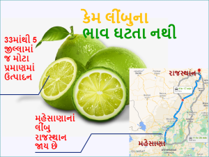 Gujarat is dependent on other states for lemons: prices skyrocket due to water shortage and decline in lemon cultivation, Lemons have to be brought from MP, Karnataka and Andhra Pradesh