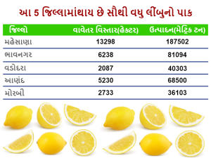 Gujarat is dependent on other states for lemons: prices skyrocket due to water shortage and decline in lemon cultivation, Lemons have to be brought from MP, Karnataka and Andhra Pradesh