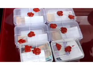 Counterfeit notes chapter: One more name was revealed in the fake note chapter of Surendranagar, The mastermind had solicited six counterfeit notes from the person