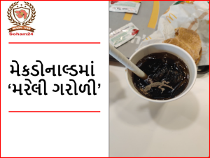 Lizard emerges from cold drink: After drinking one or two sips of cold drink at McDonald's in Ahmedabad, the lizard came up and the youth started shouting.