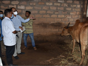 A team of 4 expert veterinarians from Delhi and Gandhinagar visited Kondh village in Dhrangdhra taluk.