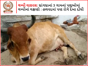 Lumpy virus: Symptoms of lumpy in cattle of 3 villages of Dhrangadhra : The disease also appeared in Halwad