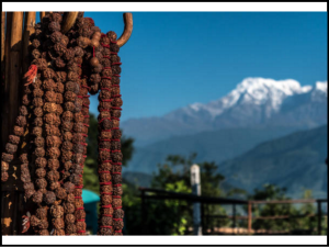 Why Rudraksha originated, wearing it will shower so much grace of God