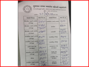 મોંઘવારી- સિંગતેલના ડબ્બાનો ભાવ પહેલીવાર 3,000ને પાર; મગફળીમાં ઘટ, 90% ઓઇલ મિલ બંધ