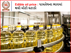 Edible oil price : There has been a big drop in palm oil prices