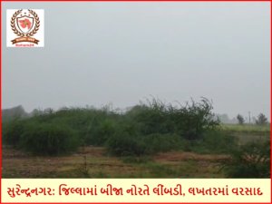 સુરેન્દ્રનગર - જિલ્લામાં બીજા નોરતે લીંબડી, લખતરમાં વરસાદ