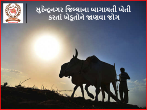 સુરેન્દ્રનગર જિલ્લાના બાગાયતી ખેતી કરતાં ખેડૂતોને જાણવા જોગ