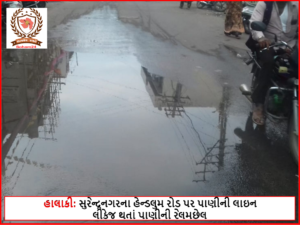 હાલાકી: સુરેન્દ્રનગરના હેન્ડલુમ રોડ પર પાણીની લાઇન લીકેજ થતાં પાણીની રેલમછેલ
