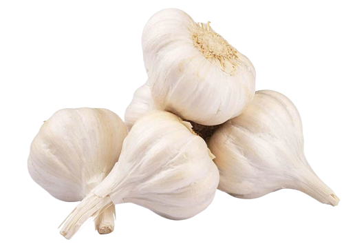 Total boom in garlic - In just four days I increased by Rs.1000