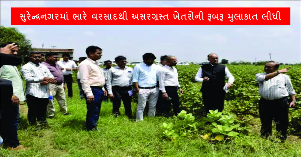 Review In person visited the farms affected by heavy rains in Surendranagar