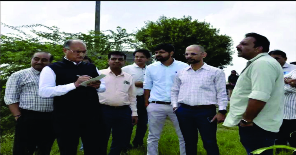 Review In person visited the farms affected by heavy rains in Surendranagar